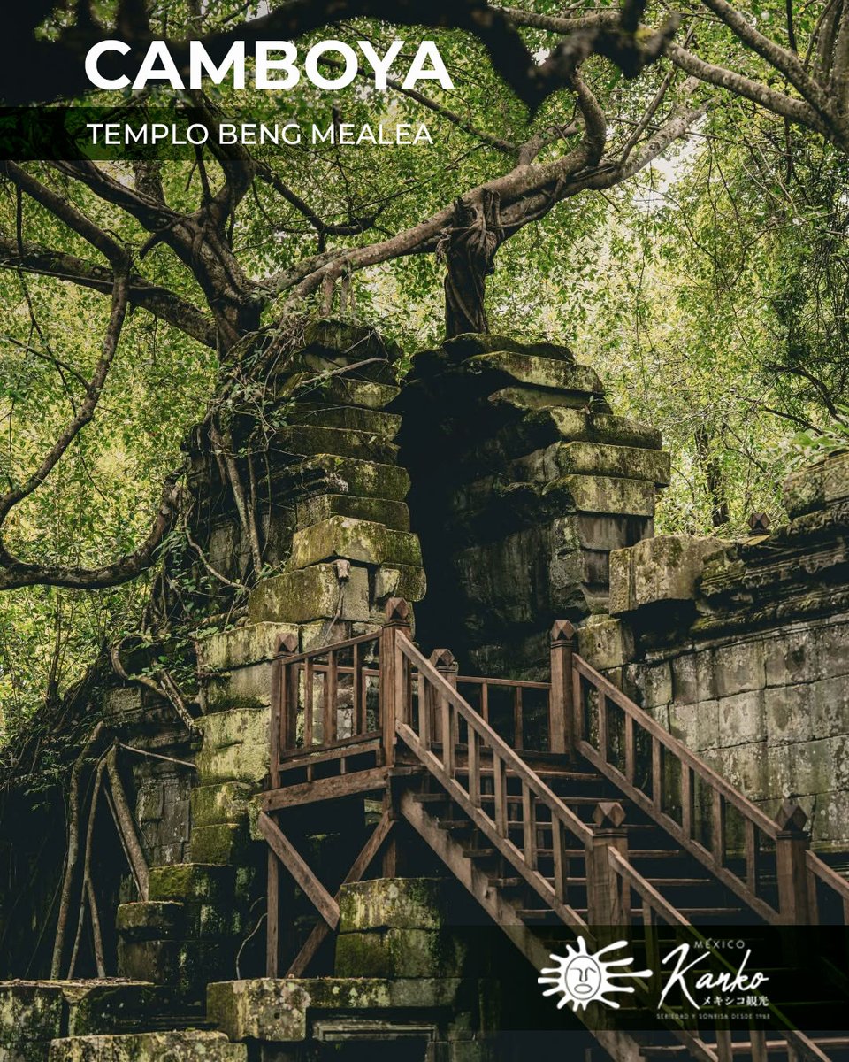 Mexico_Kanko's tweet photo. ❗️Anímate ❗️Para #ViajesACamboya  busca AQUÍ 🔗 https://t.co/P1ywjm25WG

👋🏻 ¿Quieres explorar otro destino asiático? Visita nuestro 🌐 sitio: 🔗 https://t.co/LIW6Dv7pt1

Contáctanos 👉🏻📲 https://t.co/65dYKJdaIn

#LlegaMásLejos #Camboya #SiemReap #Cambodia #BengMealea https://t.co/5a176Efq3D