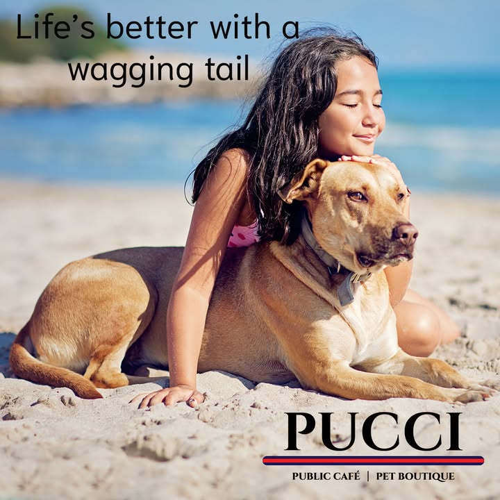 PUCCI Café tweet media