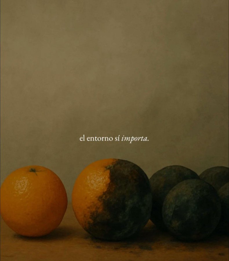 Cultura Literal tweet media