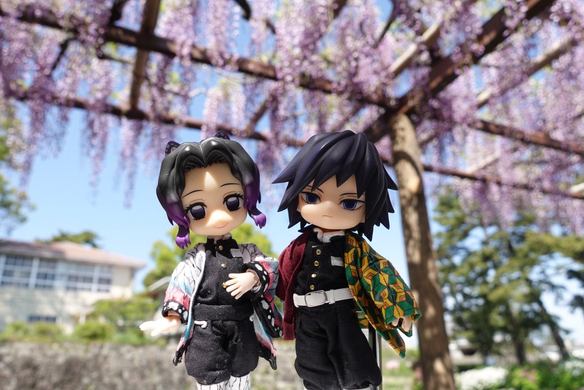 kibina5's tweet photo. 無限城頑張った組も一緒。藤の花がほんとによく似合いますね。

＃オビツろいど
＃ねんどろいど https://t.co/HdRyZ9rLSy