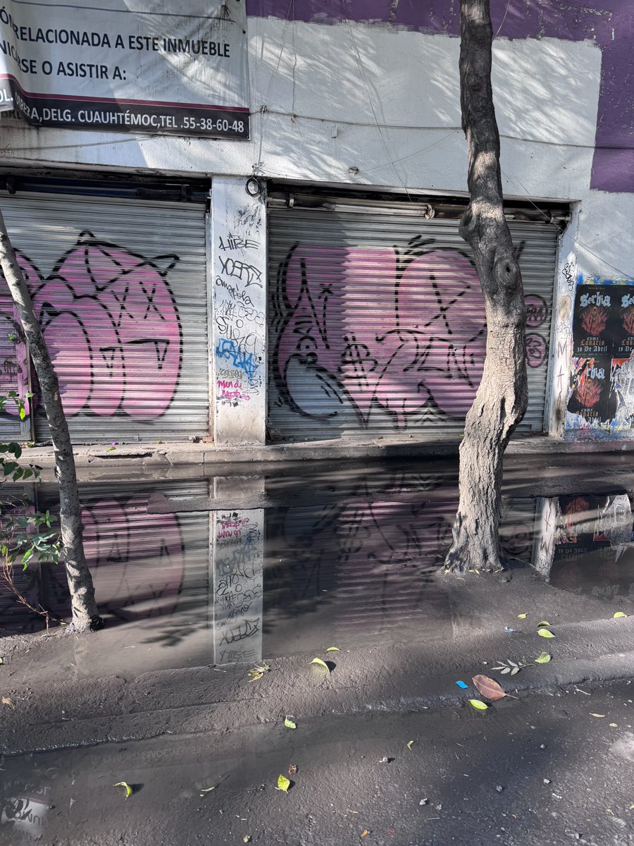 gfaciom's tweet photo. @PelonGomis Que se pongan a mejorar las calles mejora en lugar de pintar con ese color tan feo https://t.co/RcrYylYfEx
