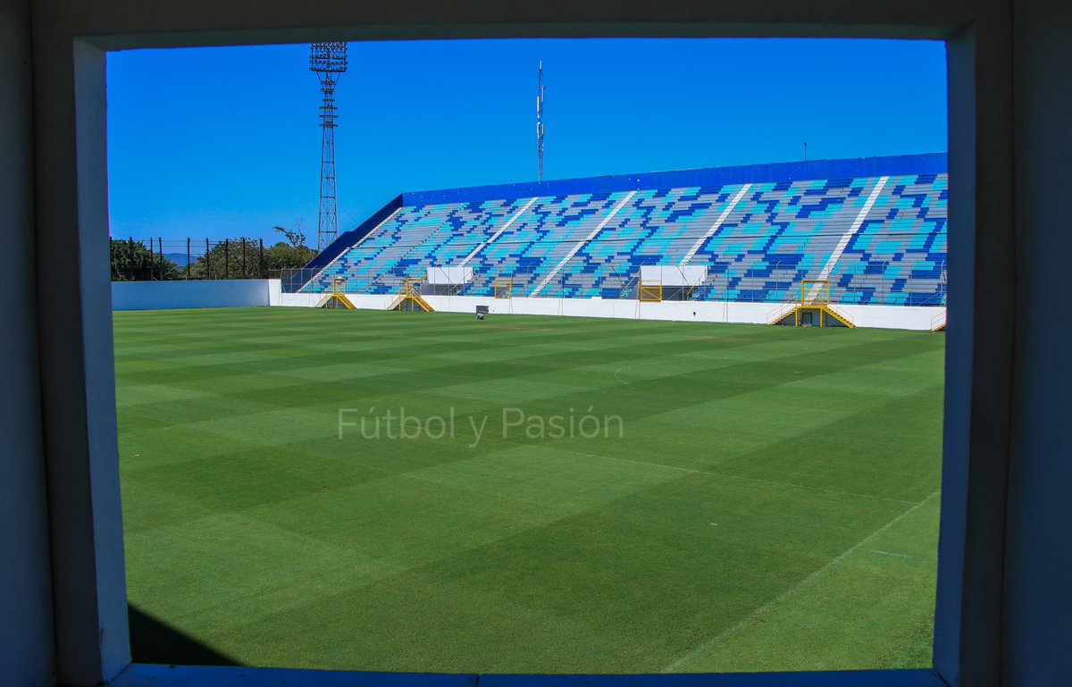 bebeto flores tweet media