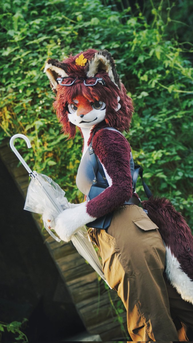 祈橘 ききつ🍁🦊➡️JMOF2026 tweet media