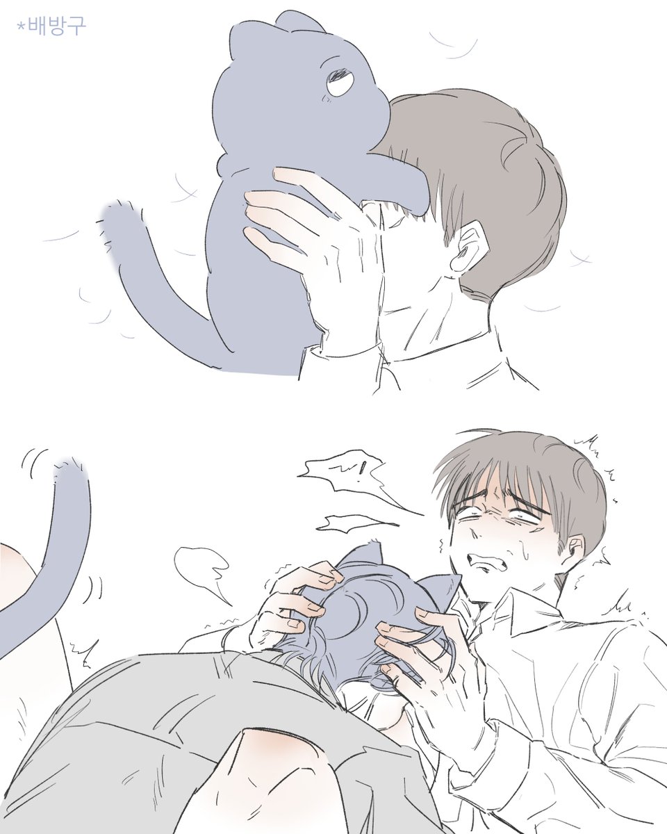 수달🦦 tweet media