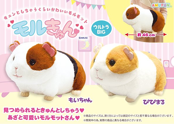 ☀️5月新景品入荷のお知らせ☀️ 【 モルきゅん〔ウルトラBIG・JB