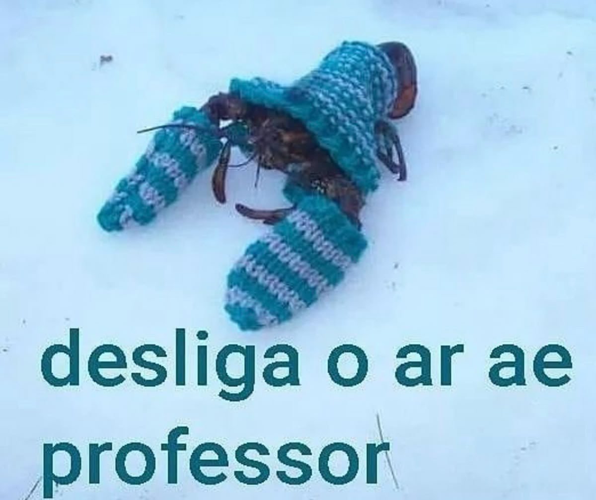 5gramasdememes's tweet photo. ✨ https://t.co/AgCYcnmqsZ