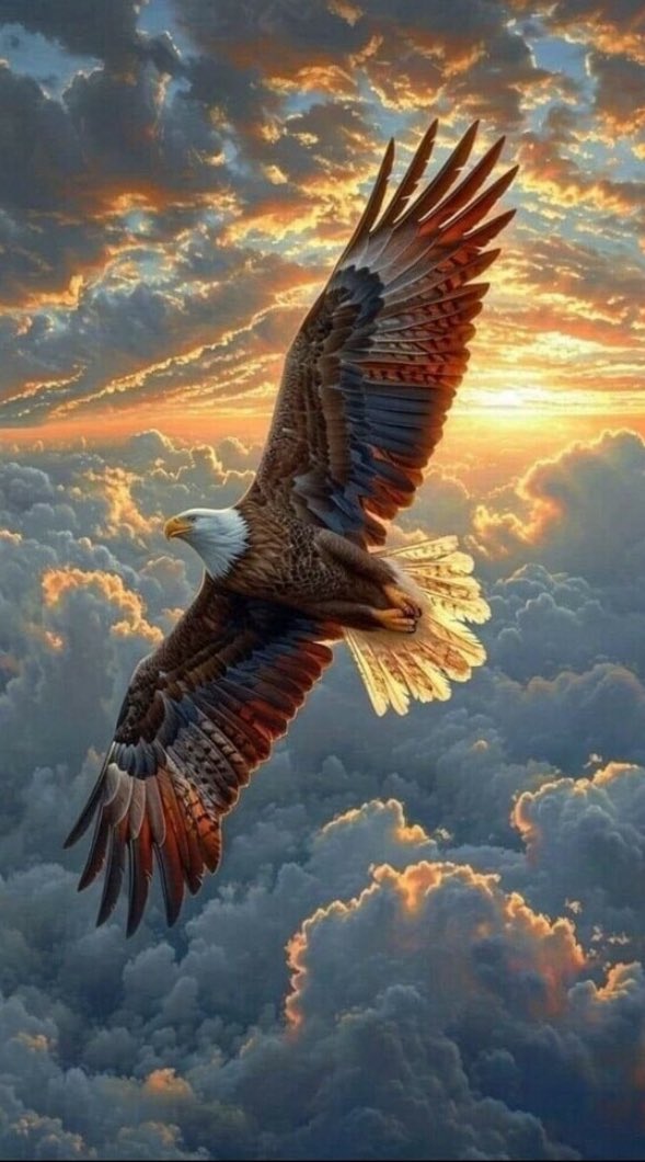 God & Country tweet media