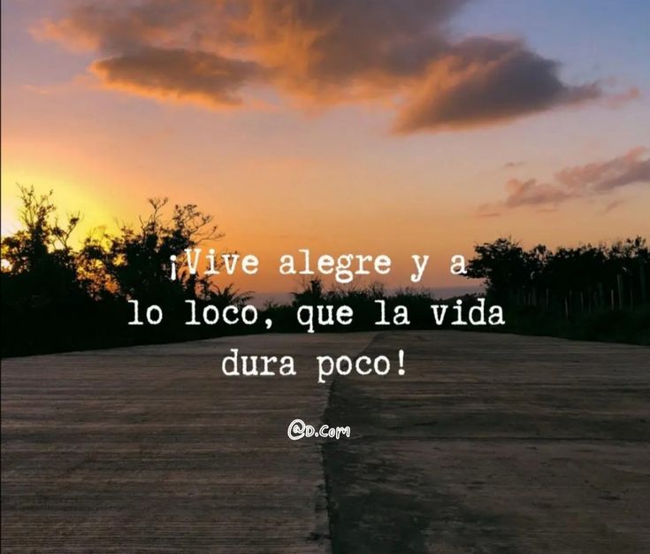 Blanca Trejo tweet media