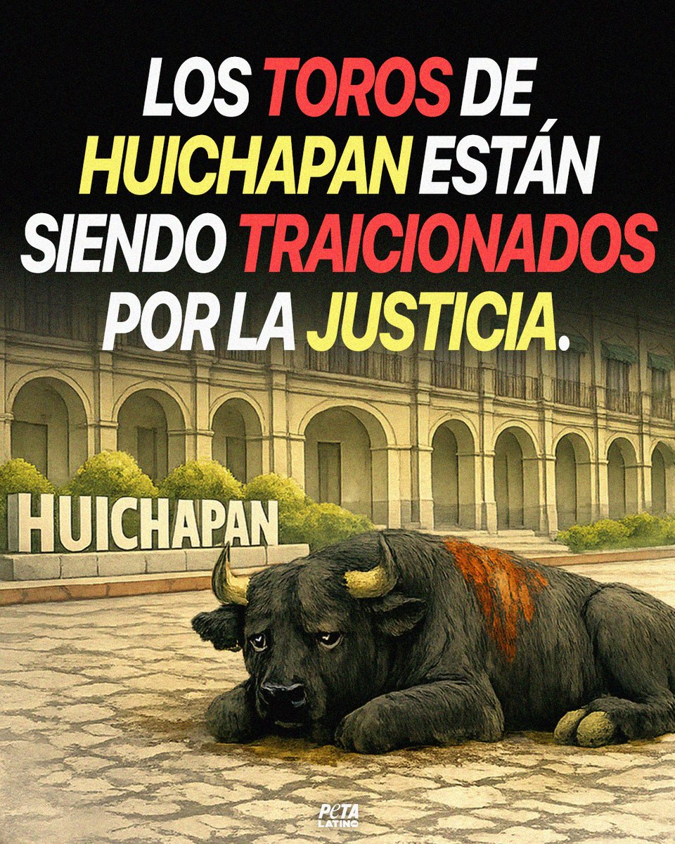 PETA Latino tweet media