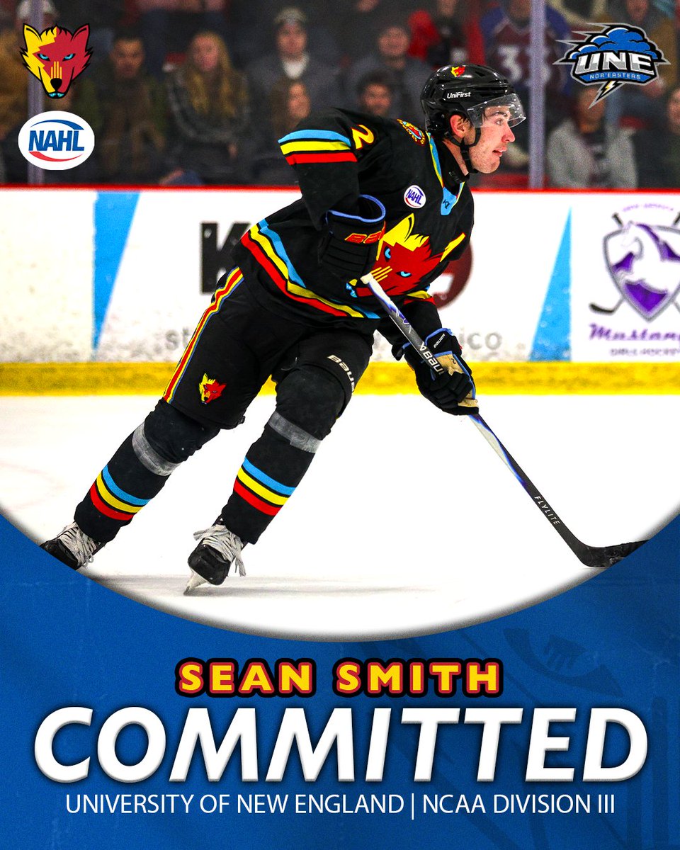 New Mexico Ice Wolves tweet media
