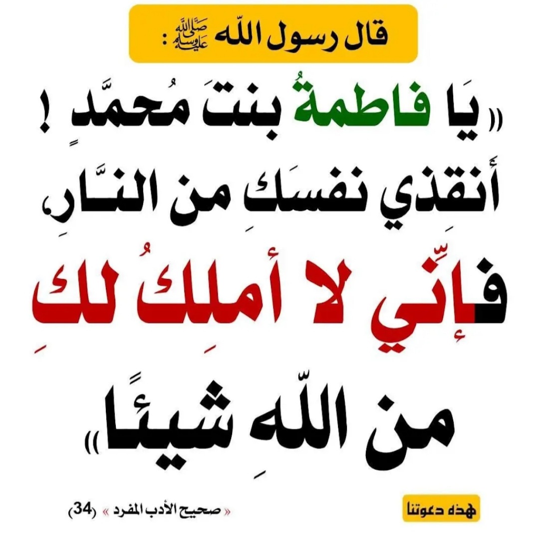 الهدهد tweet media