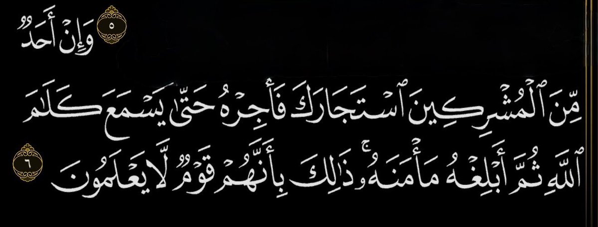 عبدالله رشدي tweet media