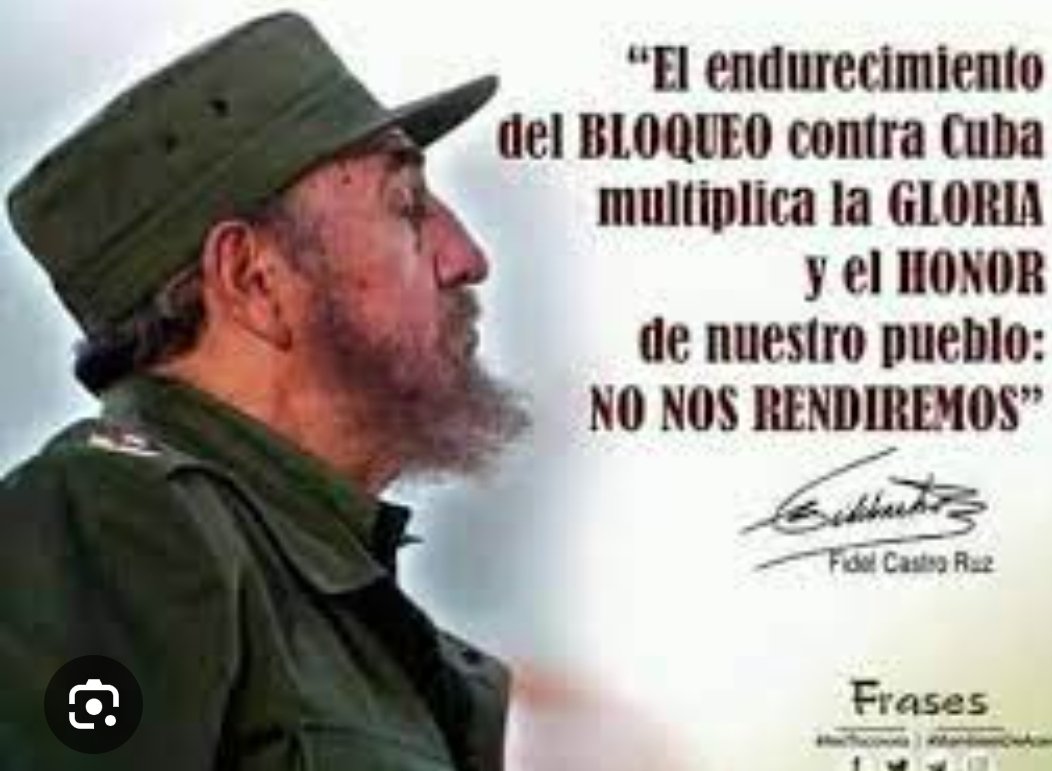 Amanda Bravo tweet media