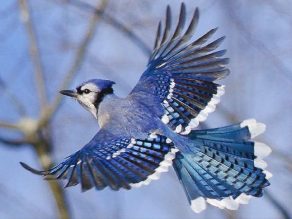 ʙᴜʀɢʜʟᴇʏ tweet media