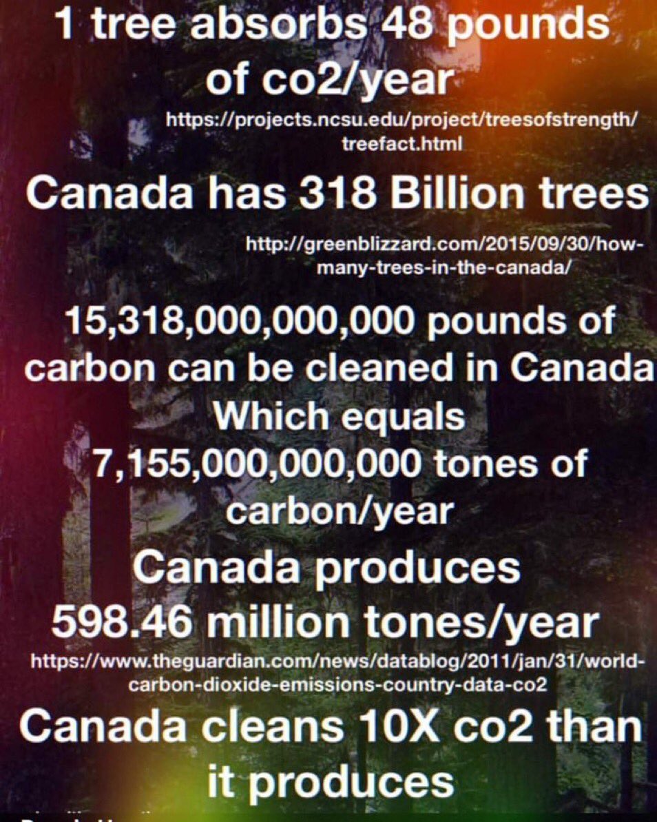 BillFredericco's tweet photo. @MarcNixon24 Carbon capture is a psychopathic delusion., https://t.co/9rrGTUKdQh