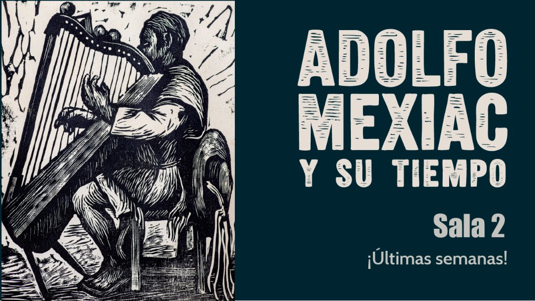 Museo del Estanquillo tweet media