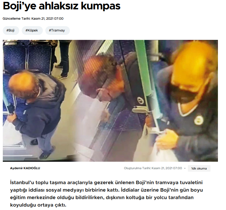 VaToZ tweet media