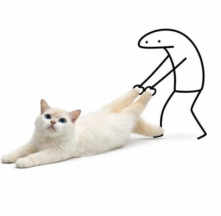 Post by Cat 🐈 on X: 😻🥰