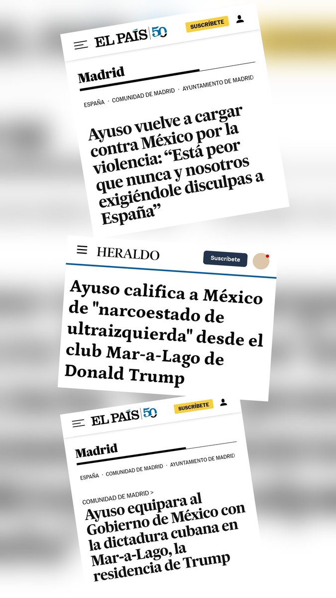 Robertolg tweet media