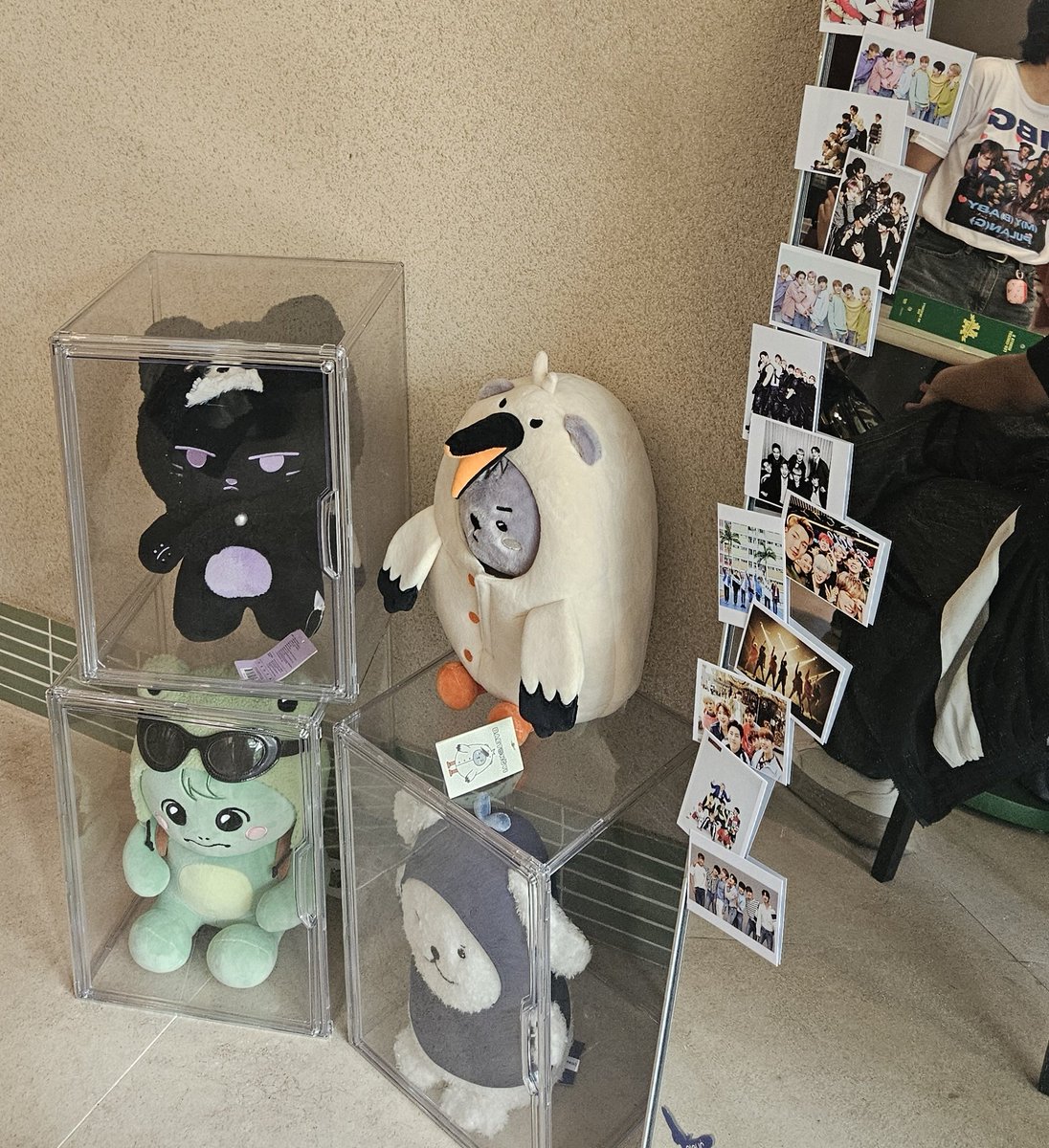 👽光 tweet media