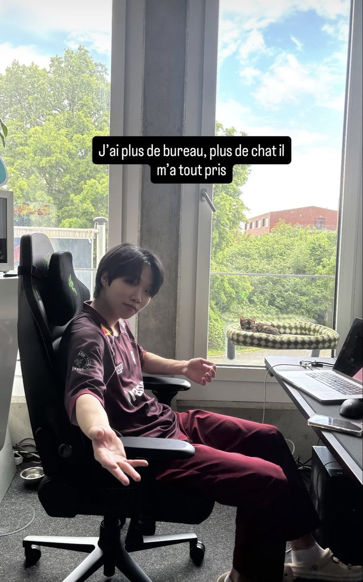 두팔 tweet media