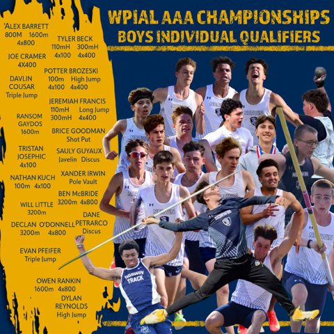 Norwin Track & Field tweet media