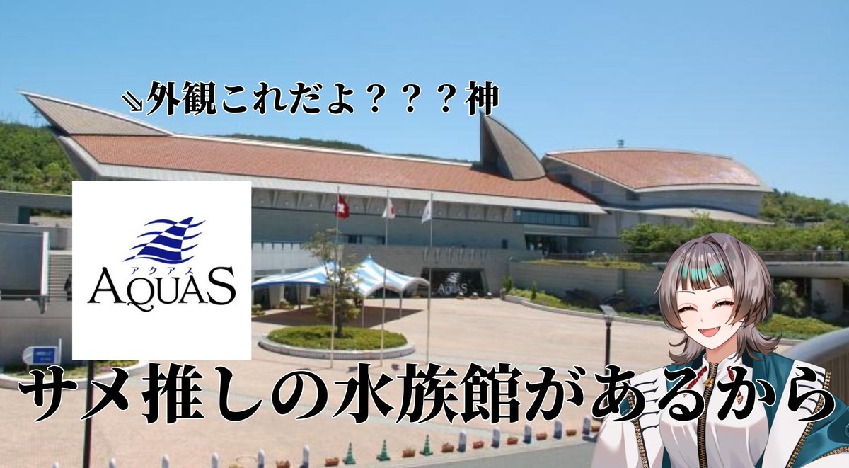 しろわにちゃん tweet media