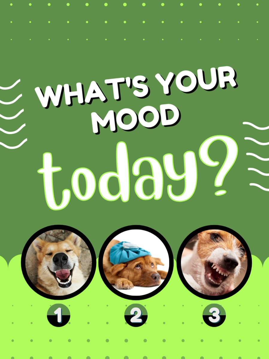 FreedomPetPass's tweet photo. How are you feeling today?
😀😫😠 https://t.co/O6dS3USgCL