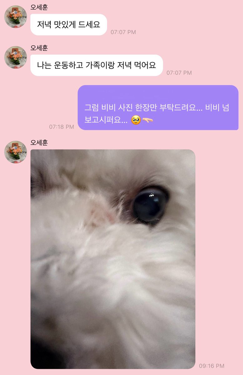 🌸 사랑둥이 귀염둥이 세훈이 🌸 tweet media