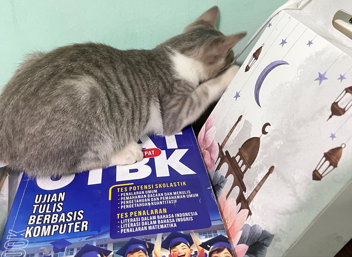 yaallahstres's tweet photo. sneng bgtt hari ini bsa belajar 4 jam full!! (biasanya cuma 2 jam karna capee pulang kerja) n bsa ngerjain soal salahnya dibawah 5 🥹 (biasanya salah lebih banyak dari betul 😭😭) plisss, mau dpt score 500+ d tupel 🥹🙏🏻 https://t.co/bCq3gUfq7R