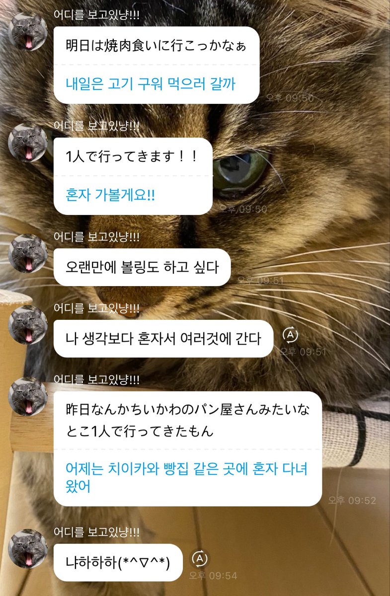 와키∴ tweet media
