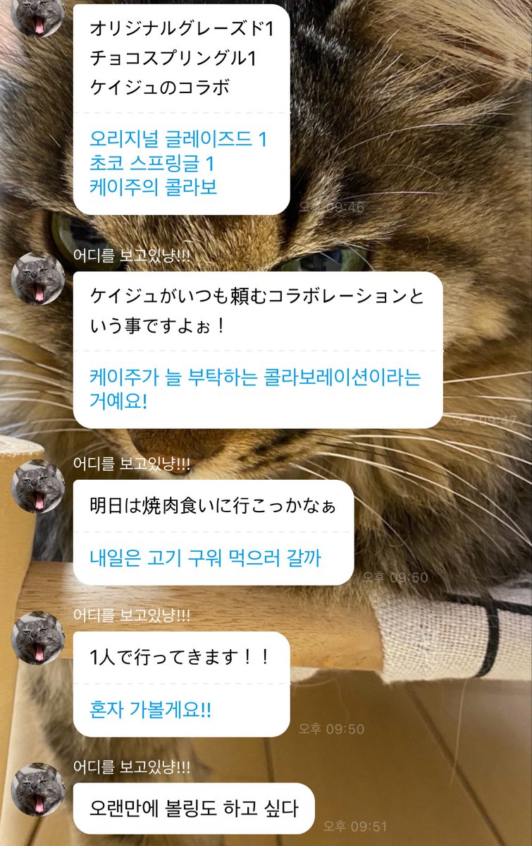 와키∴ tweet media