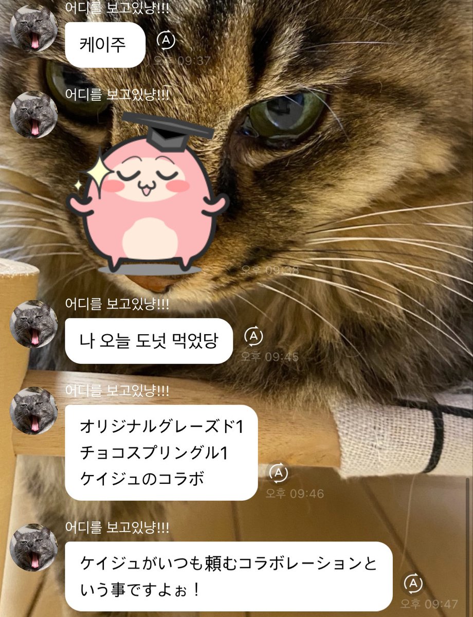 와키∴ tweet media