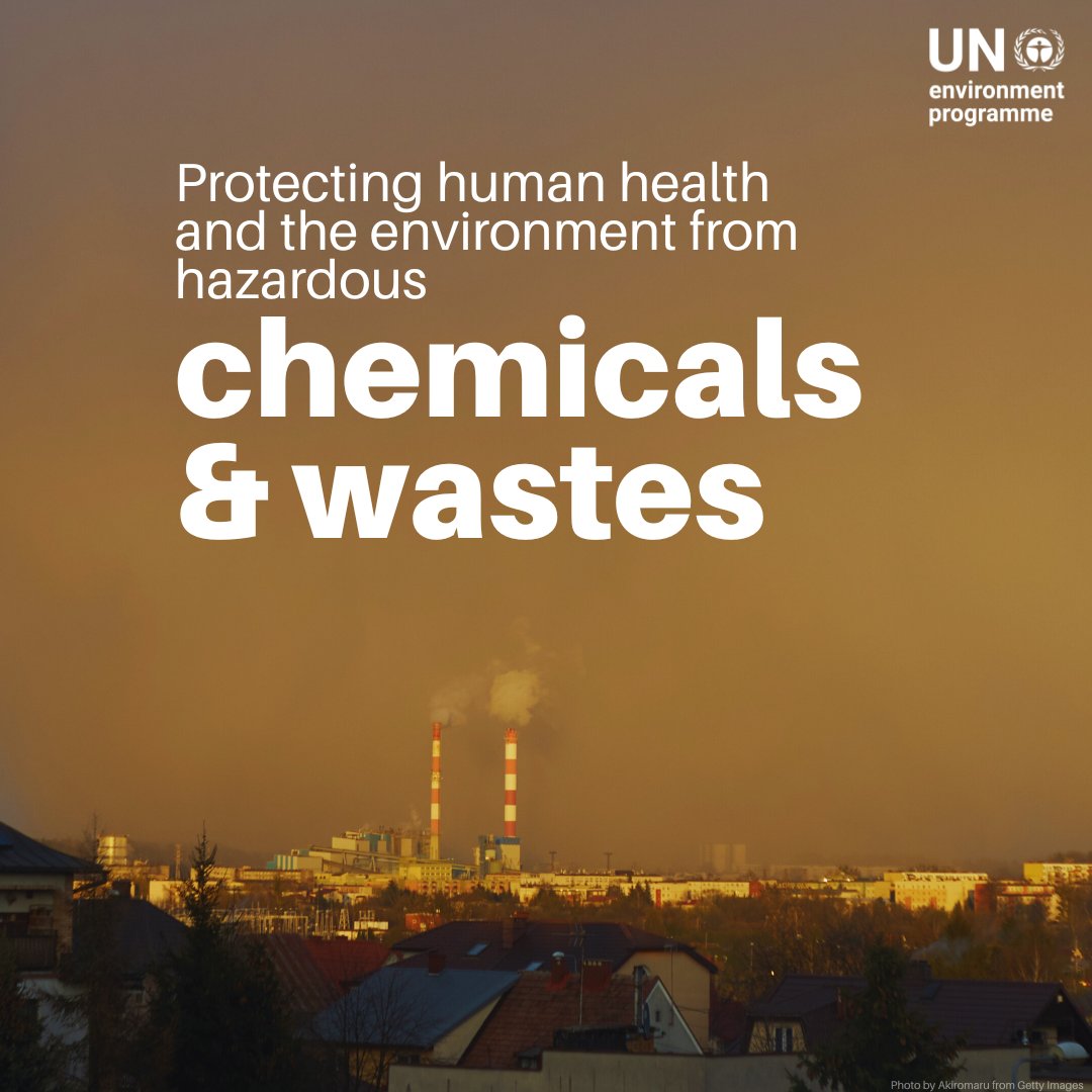 UN Environment Programme tweet media