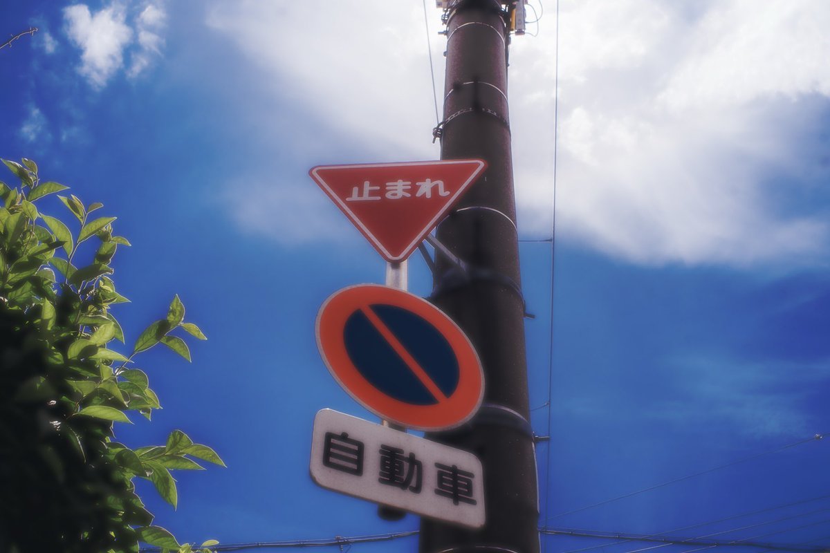 piom4_'s tweet photo. カゲプロみを感じる
こんな感じで撮影しに行きたい。この色味が人物対応できるか分からないけど https://t.co/X1QJ2UCOMB