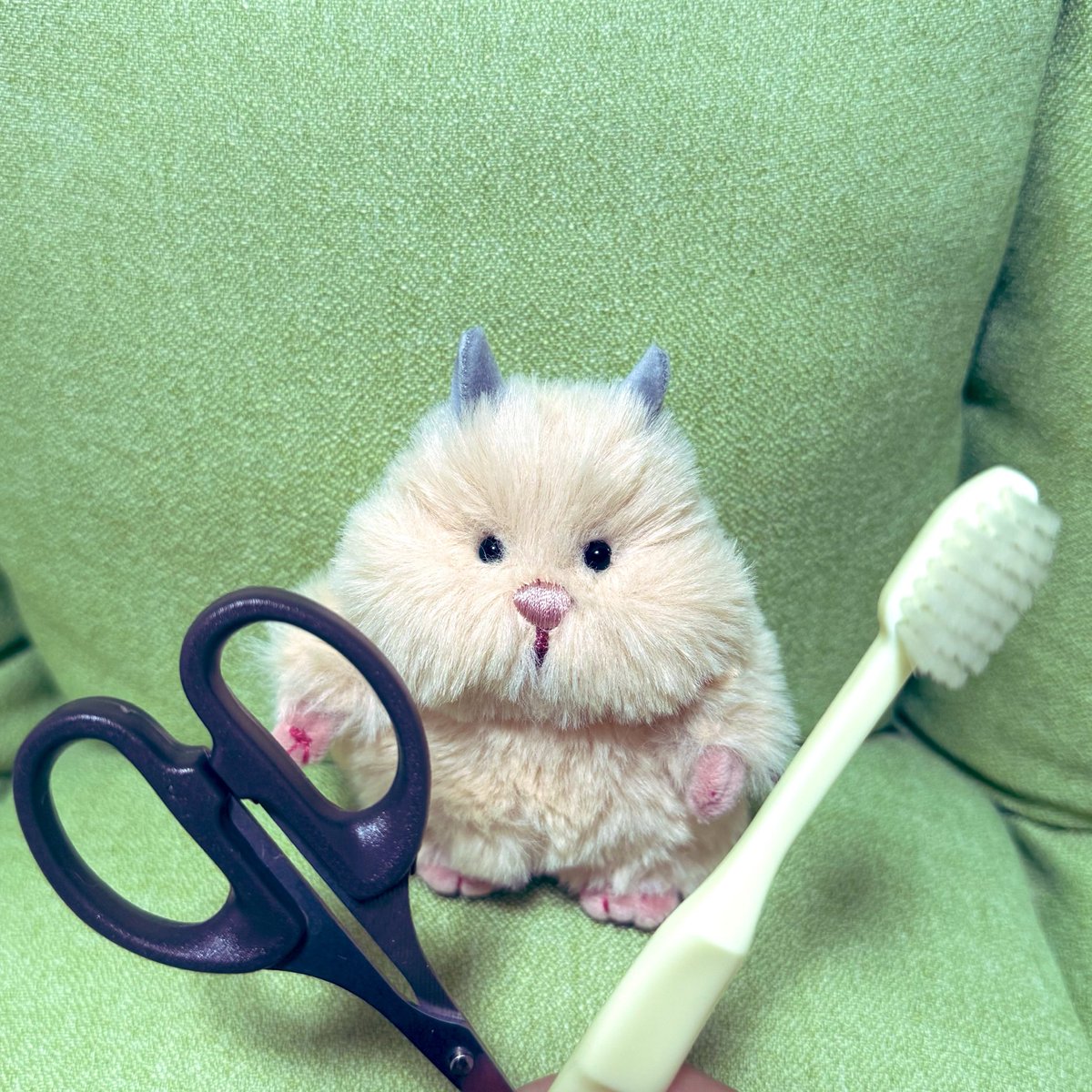 にゃんちゅう🐈 tweet media