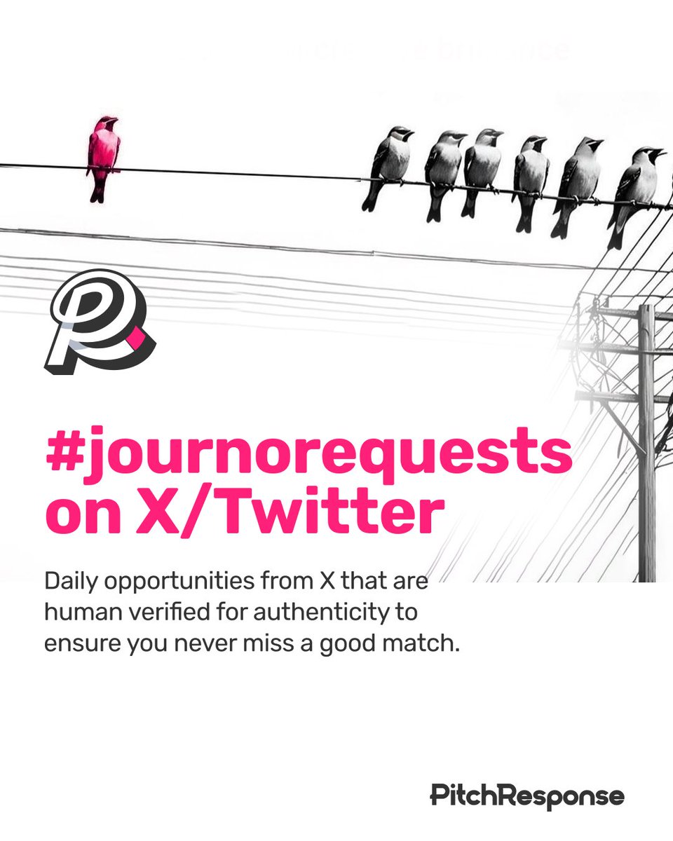 RocketHub 🚀 tweet media