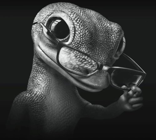 drawing Ribbit daily until they show up! tweet media