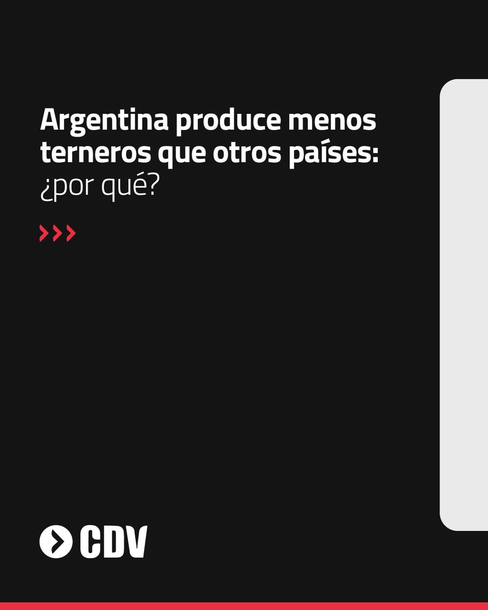 Laboratorio CDV tweet media