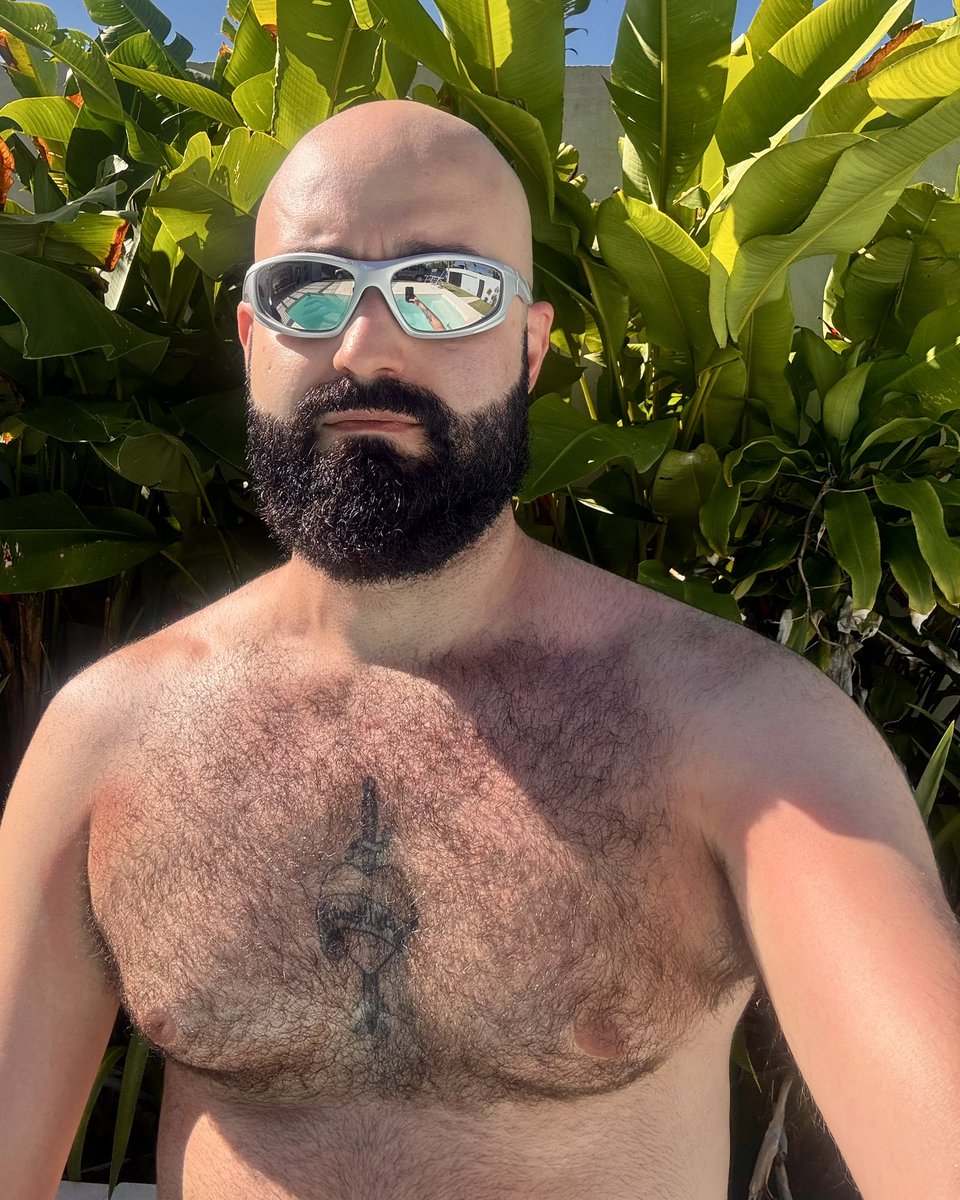 joão tweet media