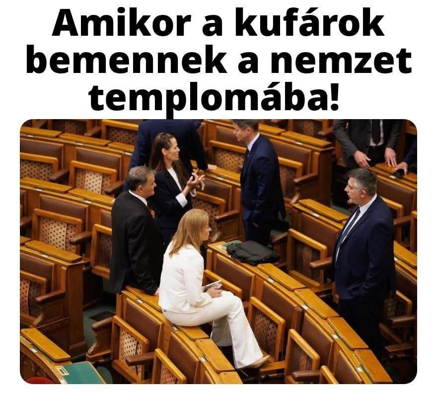 Lipsisimogató plüssbalta tweet media