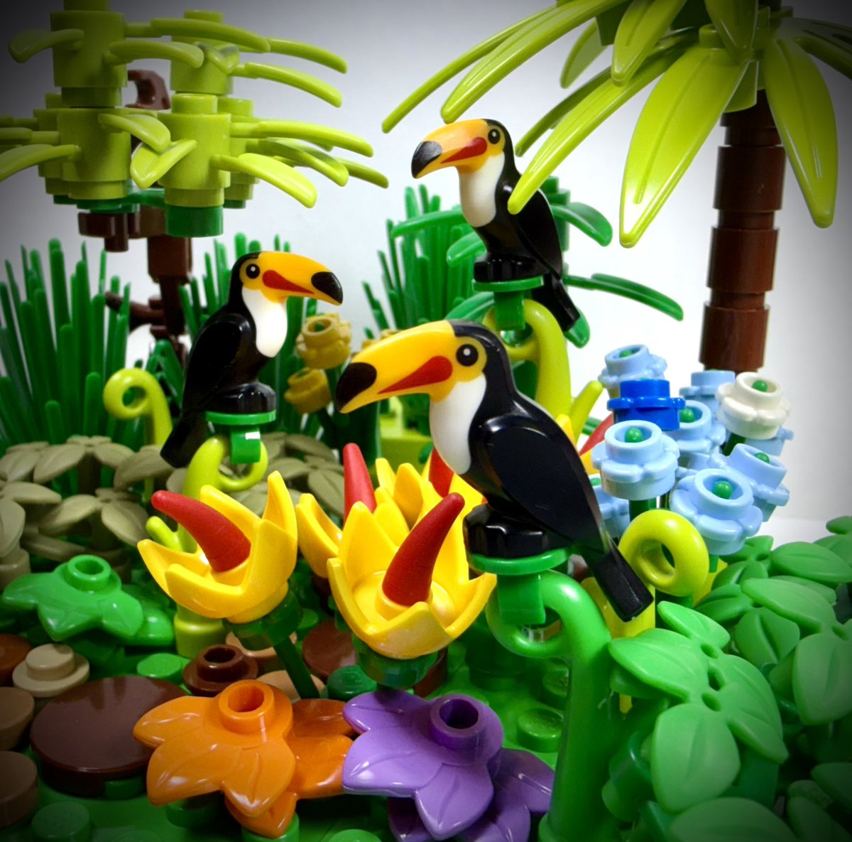 lego42195's tweet photo. 今日5月14日は #愛鳥週間 の5日目。
オニオオハシ✨
南米の熱帯雨林に生息していて主食は果実。
色鮮やかできれいですね 🙂

#今日は何の日   #lego https://t.co/gRSvmlpPJl