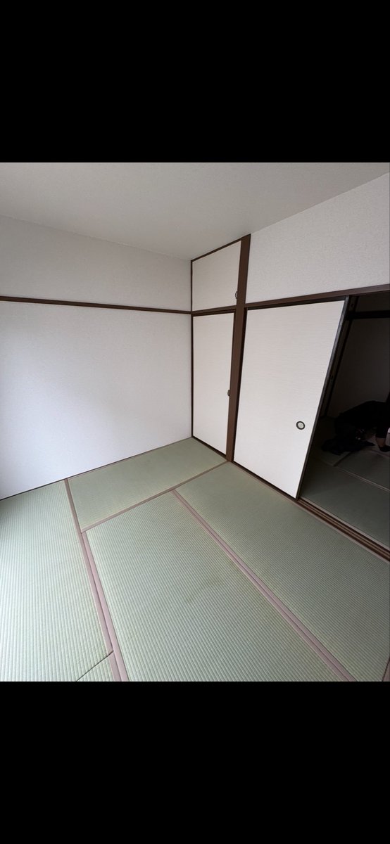 WRenovation's tweet photo. 江東区でアパートのクロスと襖と畳の交換をさせていただきました。
インターネットでオーナー様が我々を見つけていただいてのご縁でした。
有り難い限りです。
喜んでいただければ嬉しいです。
#リノベーションダブル
#リフォーム
#江東区 https://t.co/QA9M5PN4hE