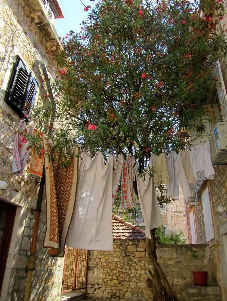 NaturalWorld515's tweet photo. Italian summer https://t.co/BXJ6GNnR0n