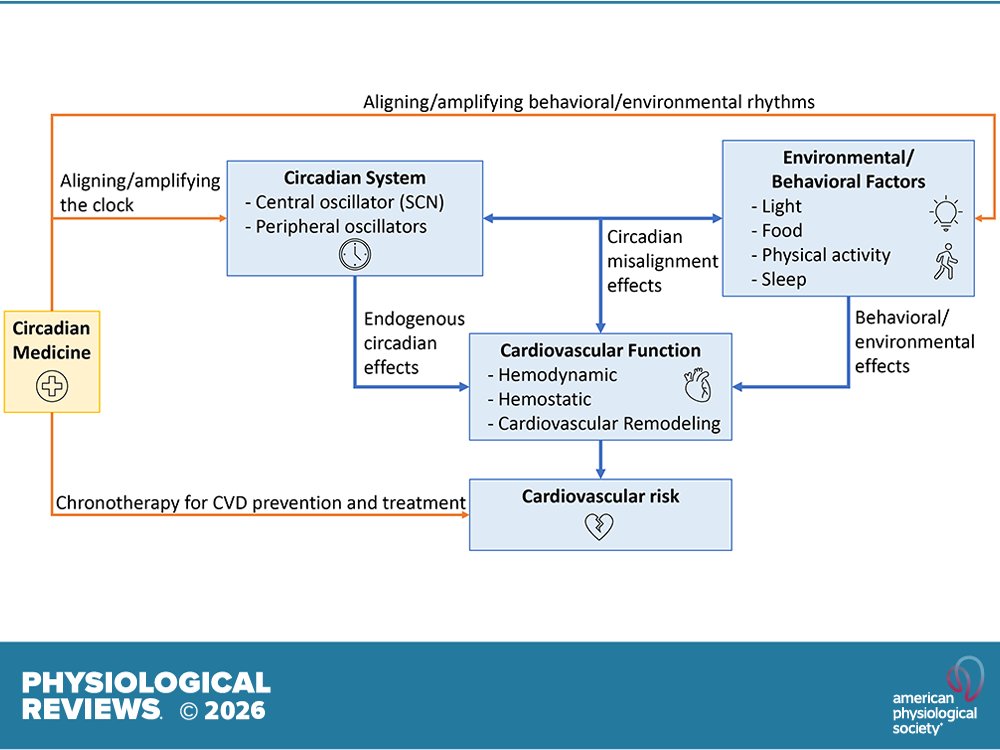 Physiological Reviews tweet media