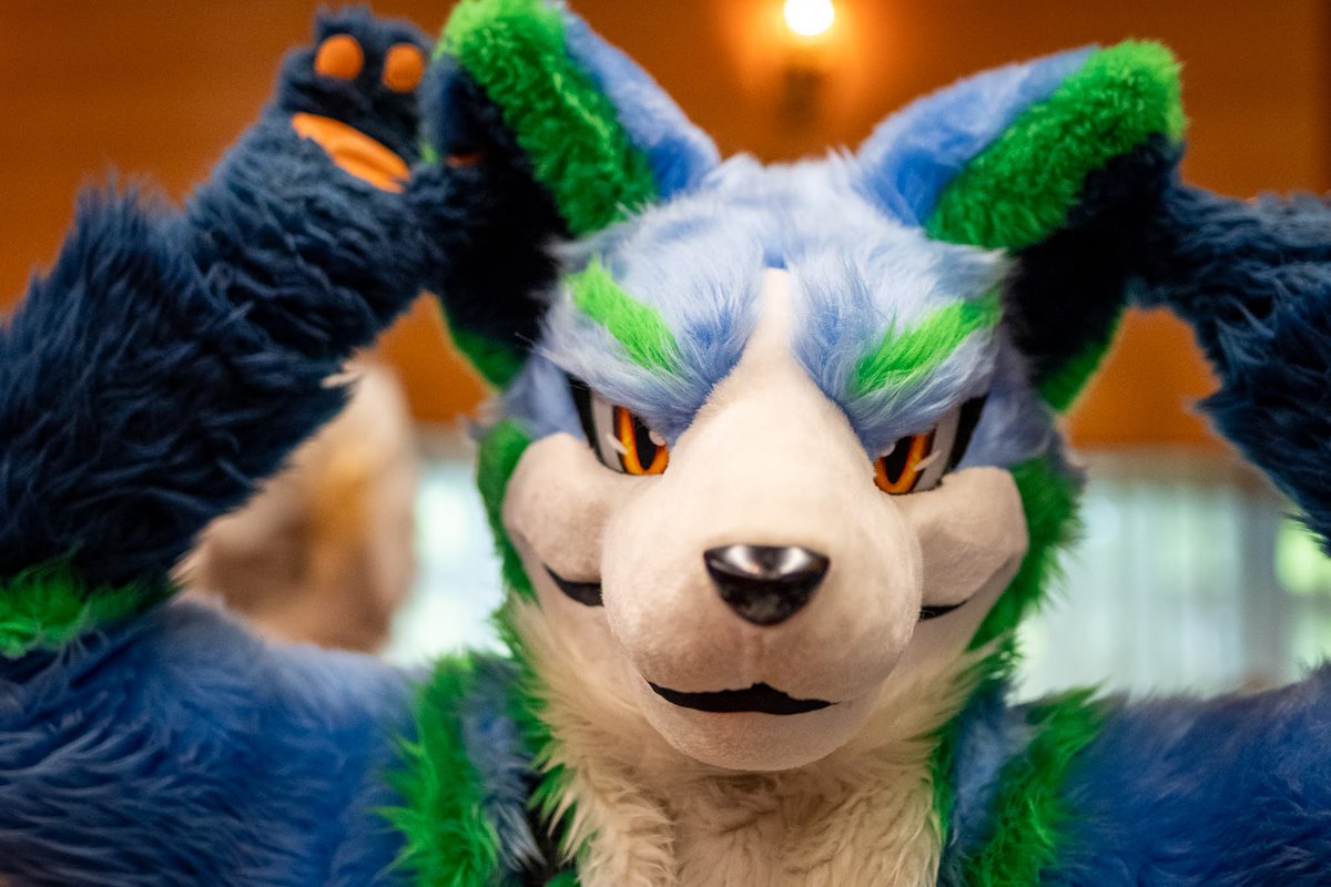 SherMS_fs's tweet photo. もし　しぇーるが　立ち耳だったら
かっこよさ　1.0倍

#FursuitFriday
#BicK
#BicK11 (2025年6月)
#犬工房
#しぇーるだいしゅうごう https://t.co/XdjMyMFTgh