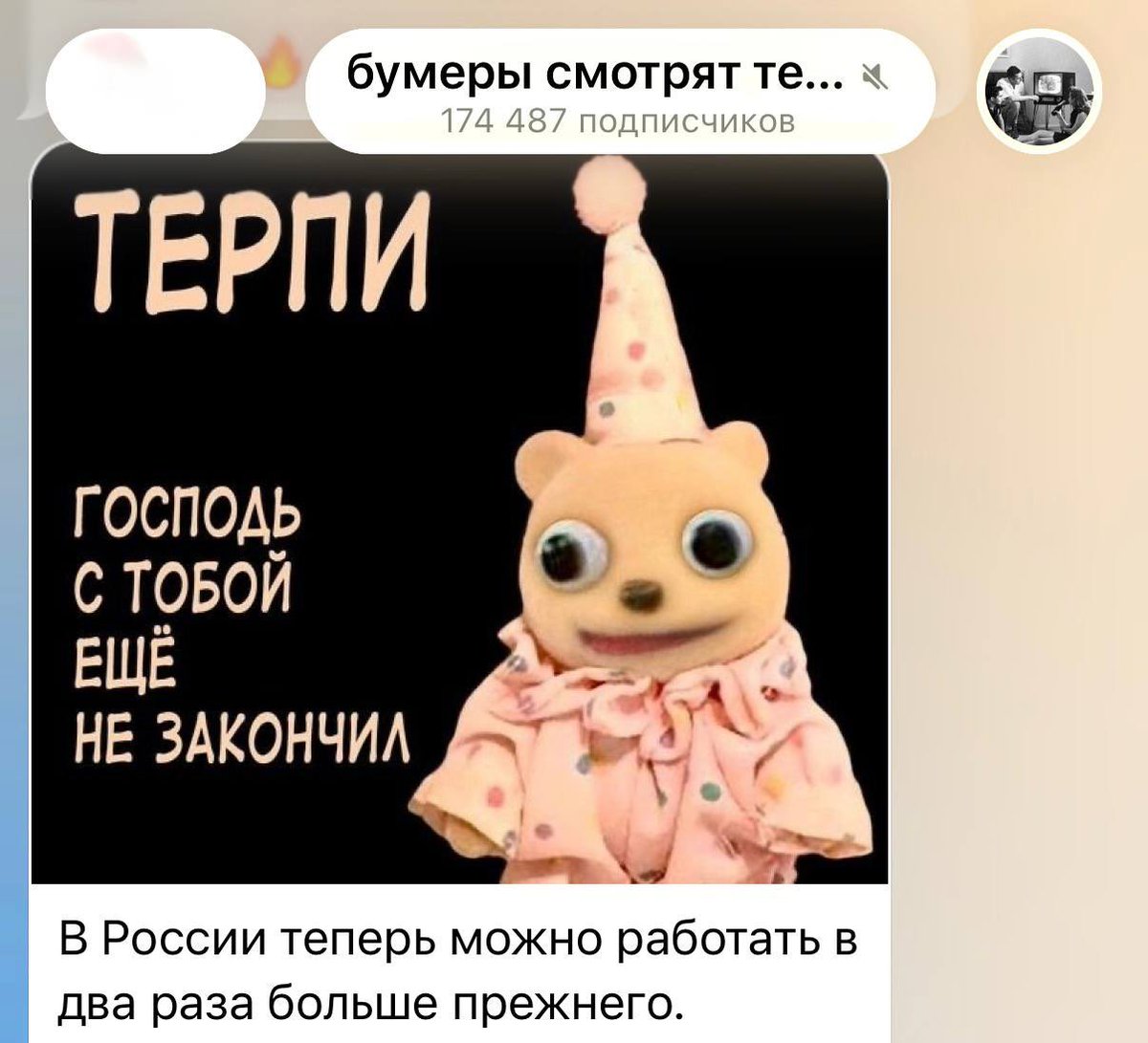 Афиша Daily tweet media