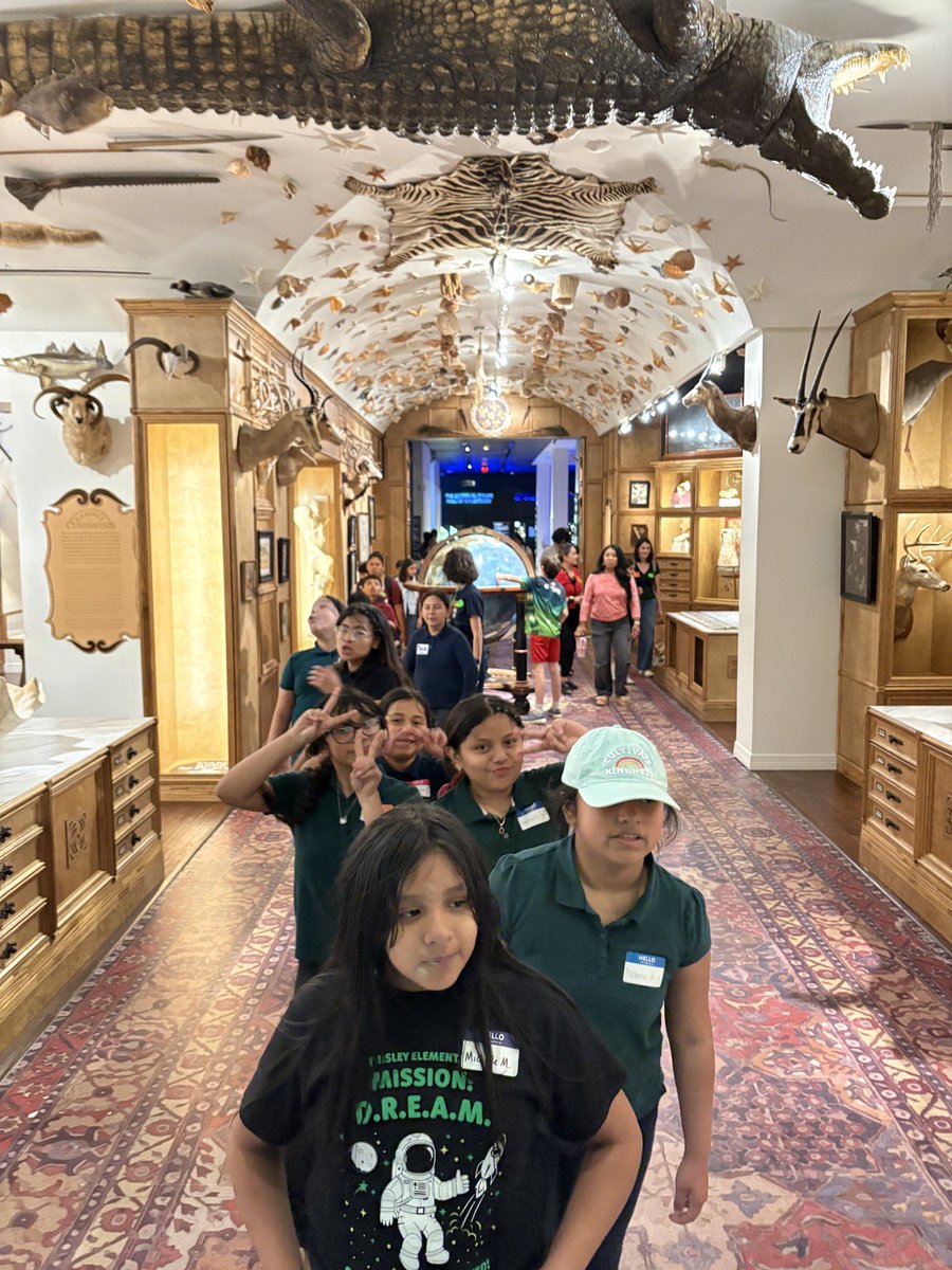 Tinsley_HISD's tweet photo. 🦖🔬 Our 4th graders had an unforgettable adventure at the Houston Museum of Natural Science! From towering dinosaur fossils to amazing science exhibits, students explored, discovered, and learned so much on this exciting field trip. https://t.co/bXsSKqPe8Y