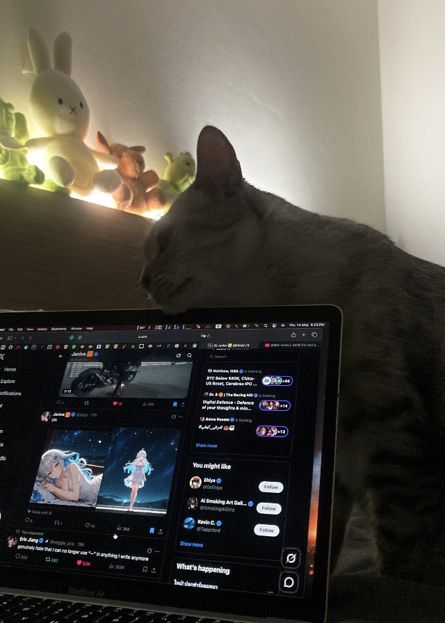 titlejt's tweet photo. Escape my cat …. 😹😼

🤓😅 https://t.co/NtElnoaH5Z