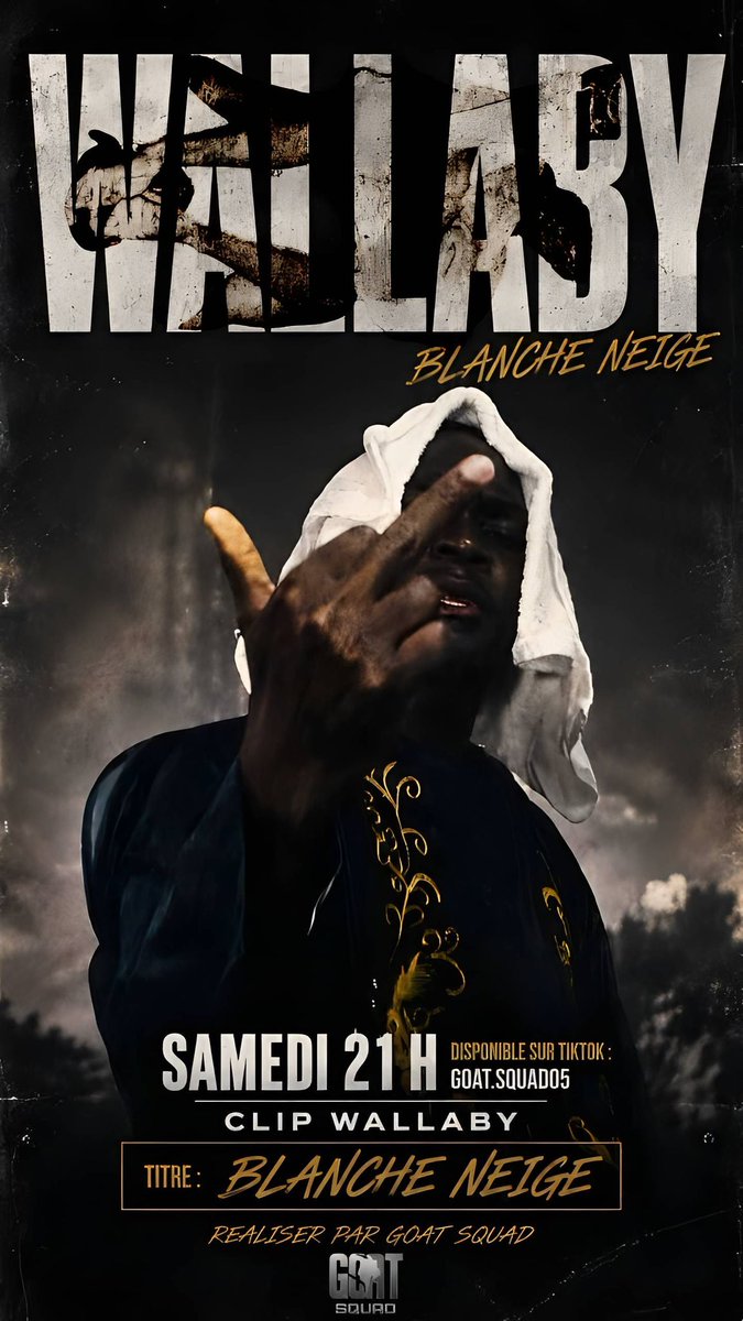 WilfriedGoat's tweet photo. SAMEDI NOUVELLE MASTERCLASS 📹DISPONIBLE SUR MON TIKTOK POUR WALLABY TRÈS BELLE EXPÉRIENCE DE TRAVAILLER AVEC CES GARS PLUS HUMAINS QU’EUX TU BOUAIS https://t.co/JfAD9U45V4